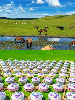 Start saving money to visit Hulunbuir again in summer!! 