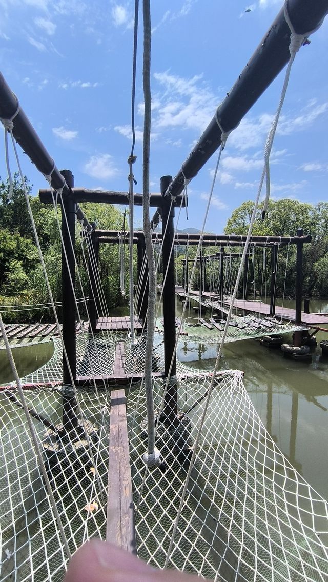 打卡太湖圖影濕地文化園
