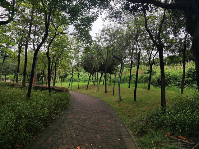 深圳時光，蔚徕酒店的精緻邂逅