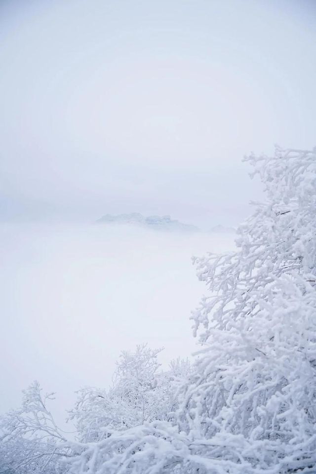 朝陽出發，龍頭山藏何景？