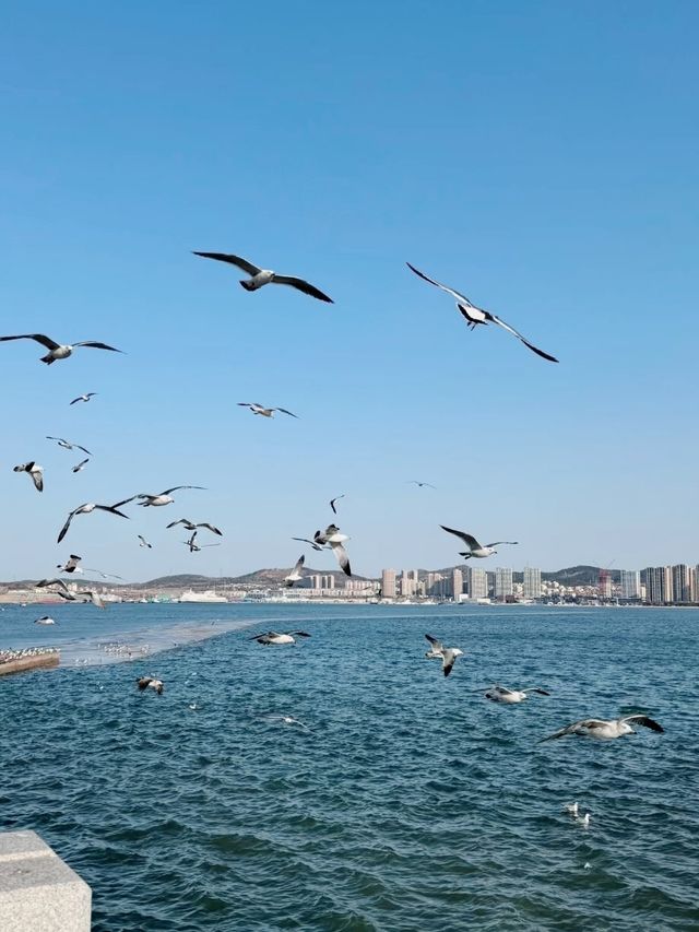 《威海：千里山海間的夢幻之旅》