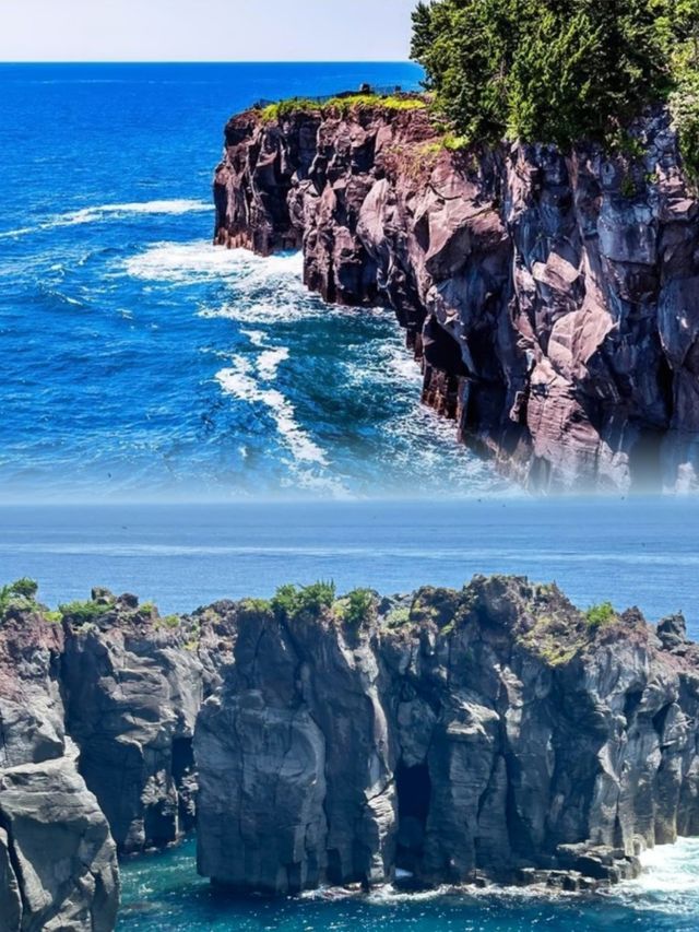 【首發優惠】青島⇋靜岡直航航線7.17盛大啟航！¥750來回