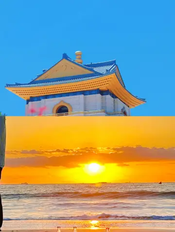 遇見「藍眼睛」！舟山這些海島開啟夢幻熒光模式