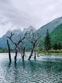 講真話可能難聽，但呢啲都係四姑娘山6-7月嘅真實情況