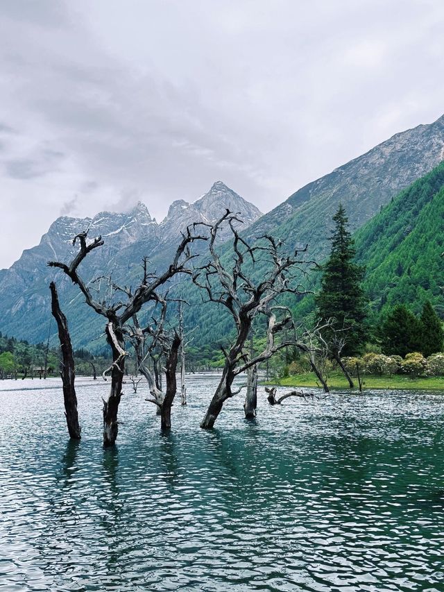 講真話可能難聽，但呢啲都係四姑娘山6-7月嘅真實情況
