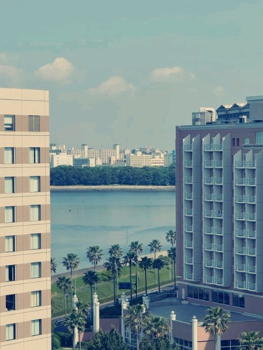 【絕美海景+無邊泳池】東京灣希爾頓酒店親測推薦！