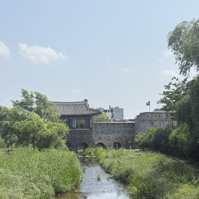 수원에 피크닉 하기 좋은 명소 🍃