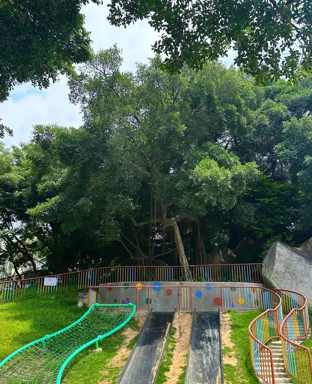 廈門大埕公園，治癒系打卡