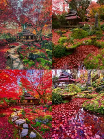 想唔想知道係邊度?快啲收藏起嚟