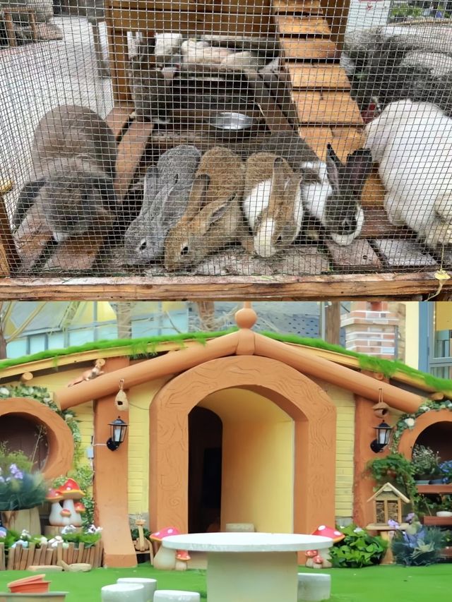 北京懷柔！森林童話小屋！親子遊～好去處！