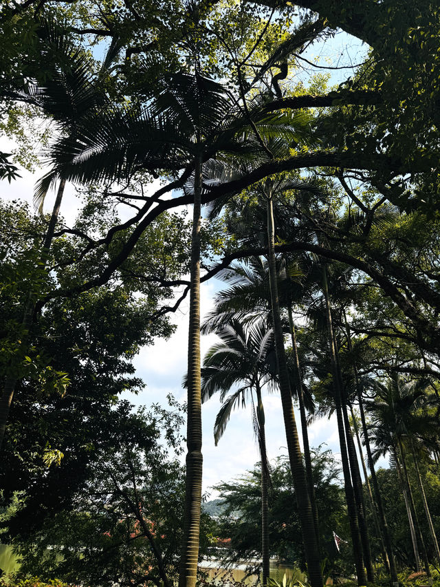 喺桂林搵到體驗唔同山水之旅嘅神仙酒店！！