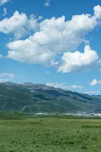 新疆旅遊攻略：必去的美景與避坑指南