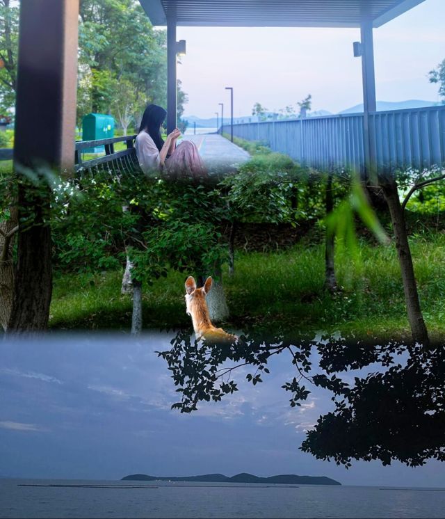 蘇州裸心泊封神現場！六月避暑就鎖死這裡