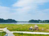 信陽小眾深度遊攻略：豫南山水與茶香之旅