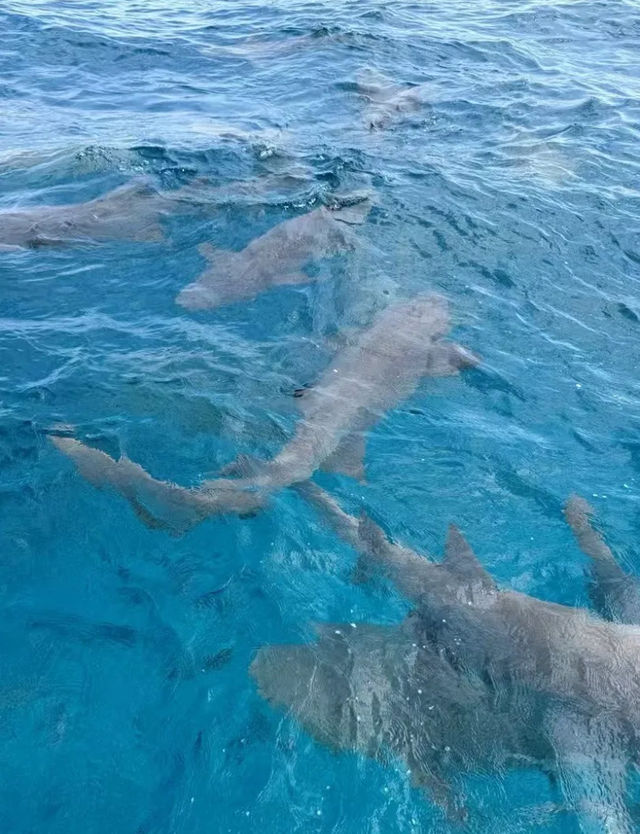 馬代私藏小眾玩法