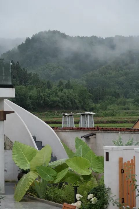 春野來信 | 九華山腳下的禪意居停