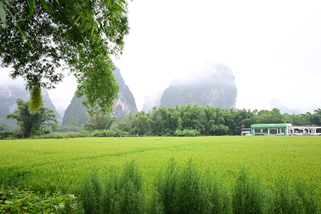 雲霧山中起，仙境數十里！