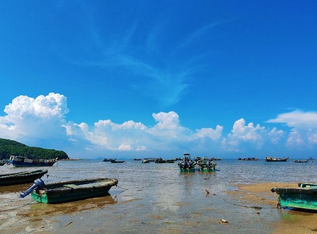自駕海陵島：開漁節盛宴與海島狂歡