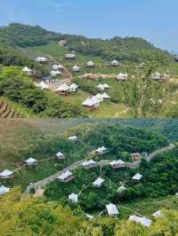 何家寨露營基地超全攻略，閉眼衝