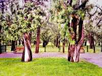 Exploring Chaoyang District's Parks: A Green Oasis in Beijing