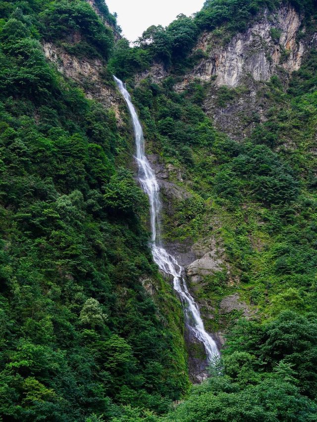 成都周邊1.5小時 | 行山避暑、玩水、睇動物