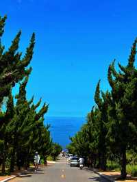 【煙台養馬島】喺碧海藍天下，邂逅一場詩意嘅海島夢