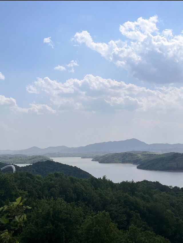 天目湖嚟啦,我嘅建議係…… 天目湖嚟啦,我嘅建議係……