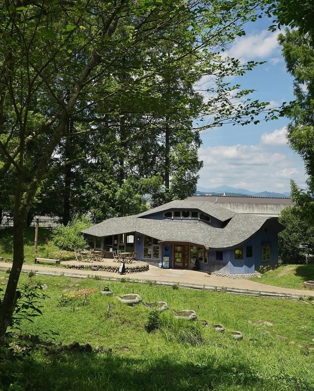 埼玉縣親子必去免費樂園 埼玉縣親子必去免費樂園