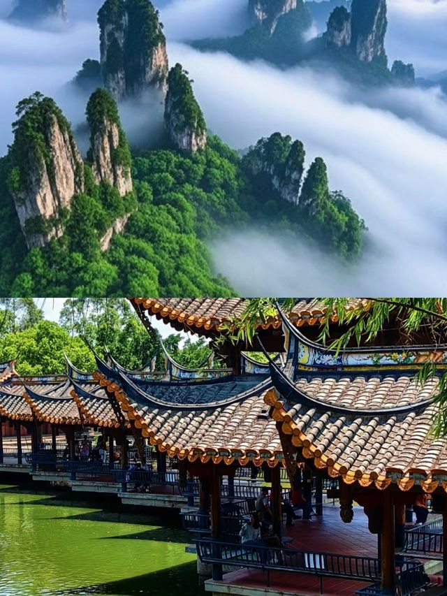 海陽已回，說點難聽的大實話