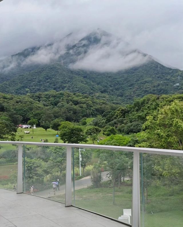 深圳小眾遊玩攻略｜鹽田的山海盛宴慢下來才是生活啊！