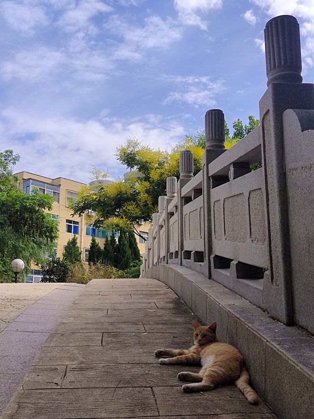 張面河畔私藏美景