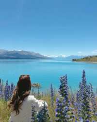 新西蘭國慶出行穿搭攻略