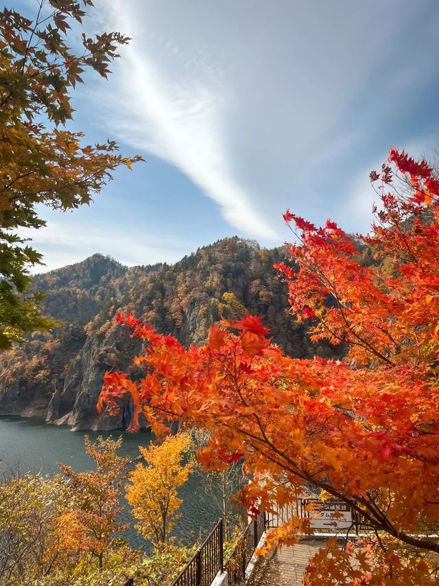 日本10月北海道：秋色與溫泉的盛宴。