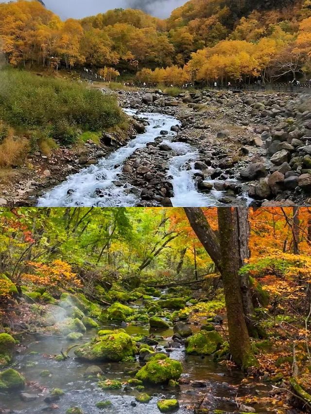 國慶去長白山，比日本紅葉更震撼，人少景美！