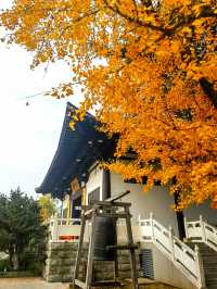 秋日懷舊之旅:古惠濟寺與浦口火車站一日遊