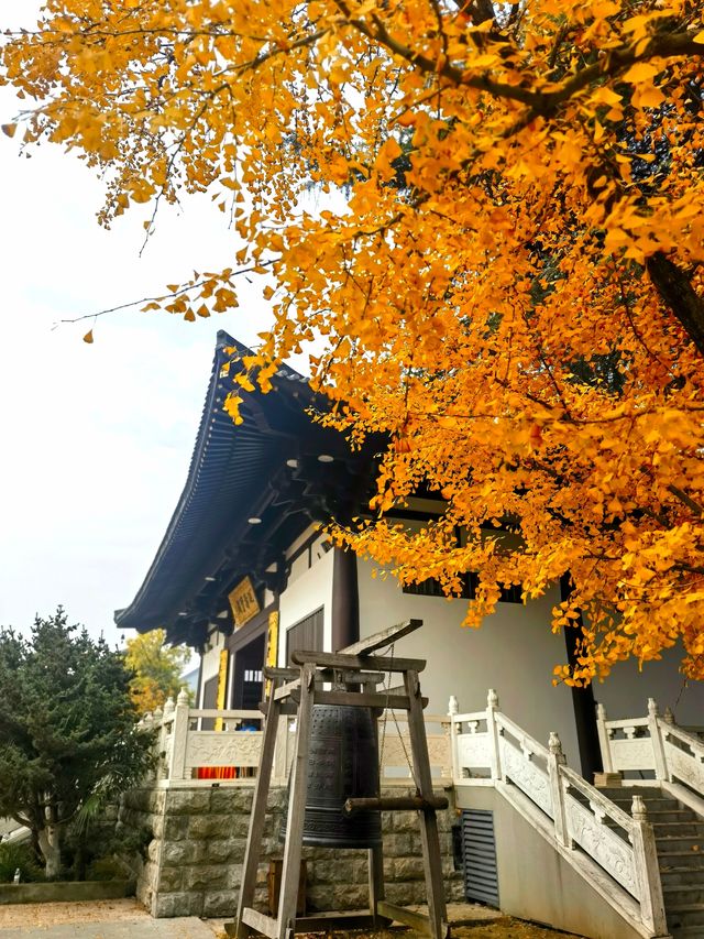 秋日懷舊之旅:古惠濟寺與浦口火車站一日遊 秋日懷舊之旅:古惠濟寺與浦口火車站一日遊