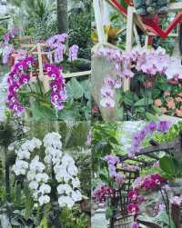 童話裡的小屋，上海植物園秋日兔子派對