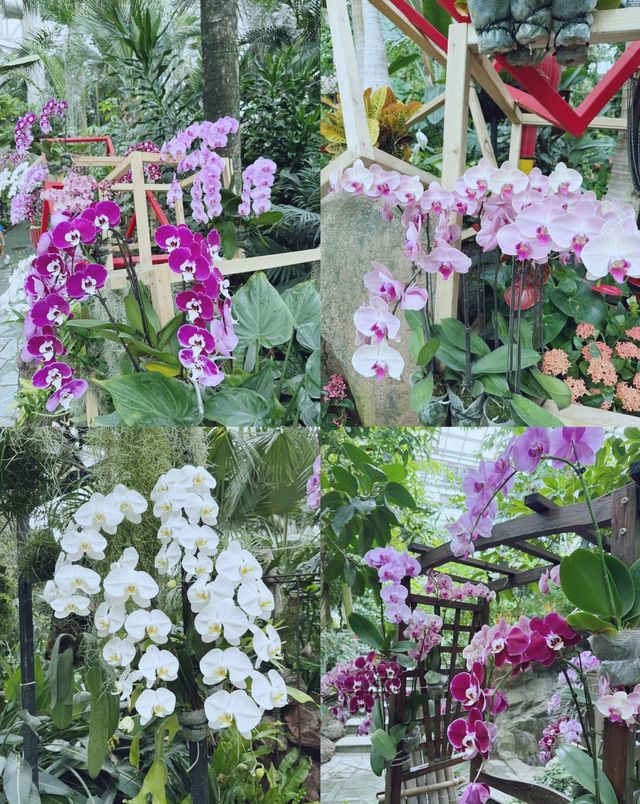 童話裡的小屋，上海植物園秋日兔子派對