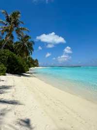 Unforgettable Beach Experience