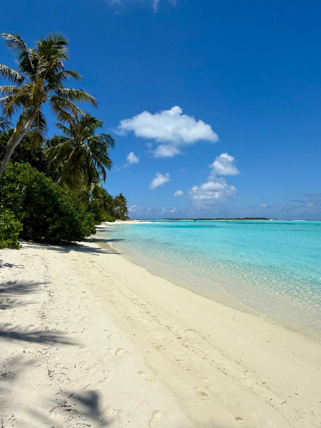 Unforgettable Beach Experience