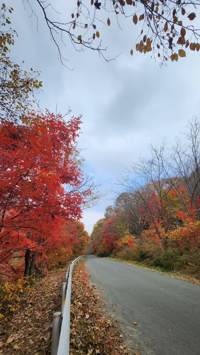 遼寧私藏的賞楓寶地！響水寺原始秋色驚豔整個十月