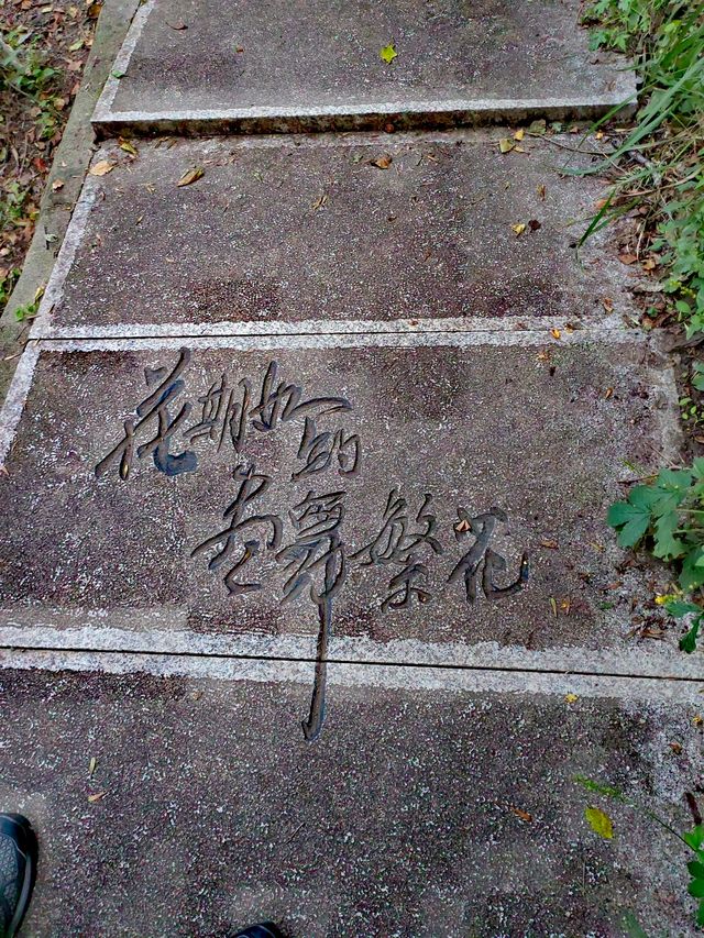 越過本溪的紅,遇見棋盤山的斑斕 越過本溪的紅,遇見棋盤山的斑斕