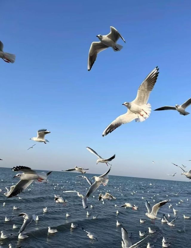 秋日博斯騰湖：腳踩金沙，與蔚藍共赴一場浪漫之約