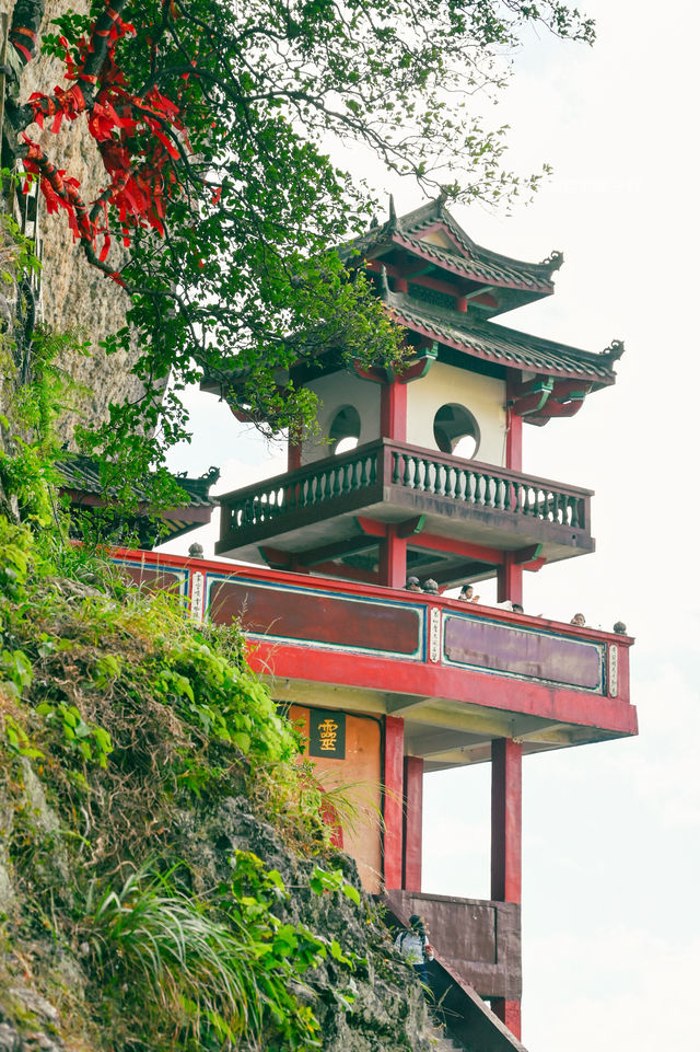 漳州靈通山｜我帶5歲娃來爬了！附親子攻略