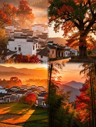 놀라워요! 완난의 가을에 감동받아 눈물이 났어요, 이게 진짜 수묵화 장편입니다!