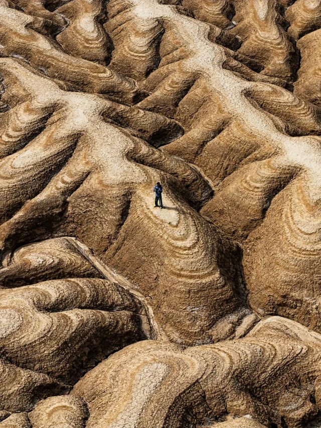 新疆隱藏奇觀拜城大地之樹航拍攻略刷爆朋友圈的視覺盛宴！