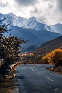西寧的秋：一半金黃染高原，一半湛藍映山河