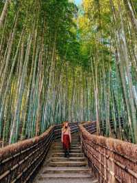 秋日京都物語，紅葉季也太美了