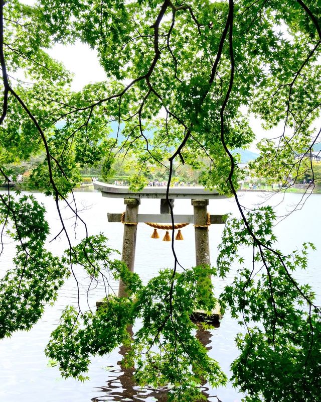 獨行日本的小確幸|在湯布院邂逅一個人的浪漫 獨行日本的小確幸|在湯布院邂逅一個人的浪漫
