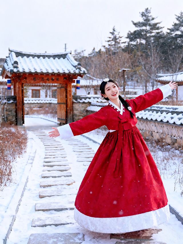 去了哈爾濱5次！熬夜整理的旅遊避坑指南！